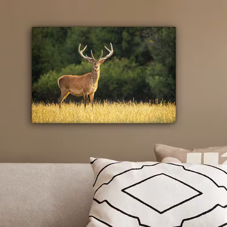 Hert - Gewei - Gras - Natuur - Dieren - Groen canvas 2cm klein -sfeer3
