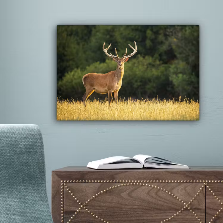 Hert - Gewei - Gras - Natuur - Dieren - Groen canvas 2cm klein -sfeer4