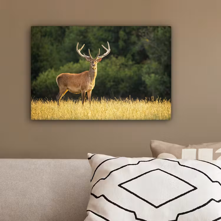 Hert - Gewei - Gras - Natuur - Dieren - Groen canvas 2cm klein -sfeer3
