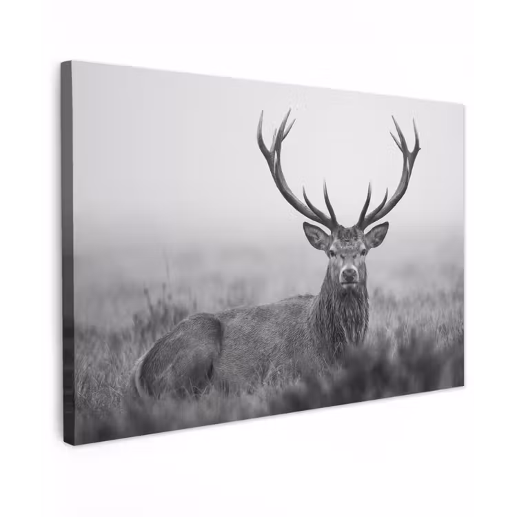 Hert - Mistig - Zwart - Wit canvas 2cm klein -z3d