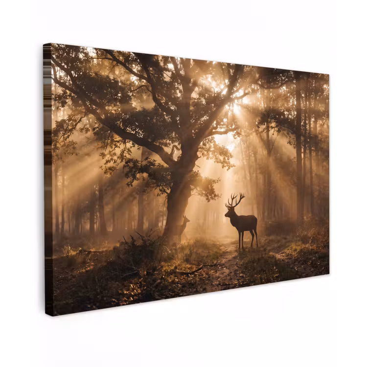 Hert - Bos - Mistig - Natuur - Goud canvas 2cm klein -z3d
