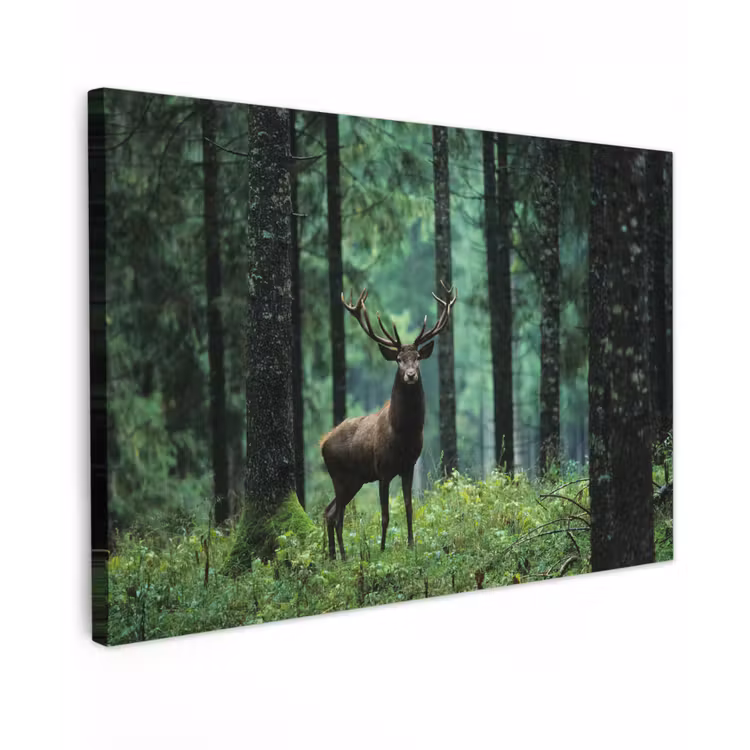 Hert - Bos - Bomen - Dieren - Natuur canvas 2cm klein -z3d