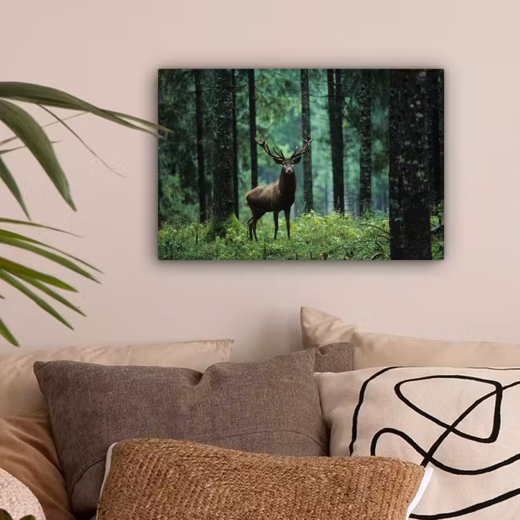 Hert - Bos - Bomen - Dieren - Natuur canvas 2cm klein -sfeer1