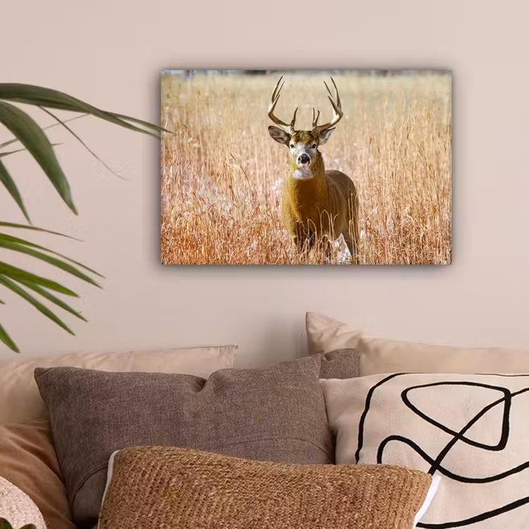 Hert - Gras - Herfst - Dieren - Natuur - Gewei canvas 2cm klein -sfeer1