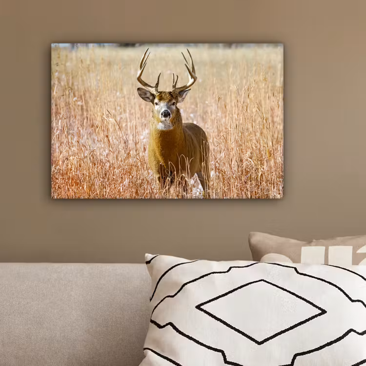 Hert - Gras - Herfst - Dieren - Natuur - Gewei canvas 2cm klein -sfeer3