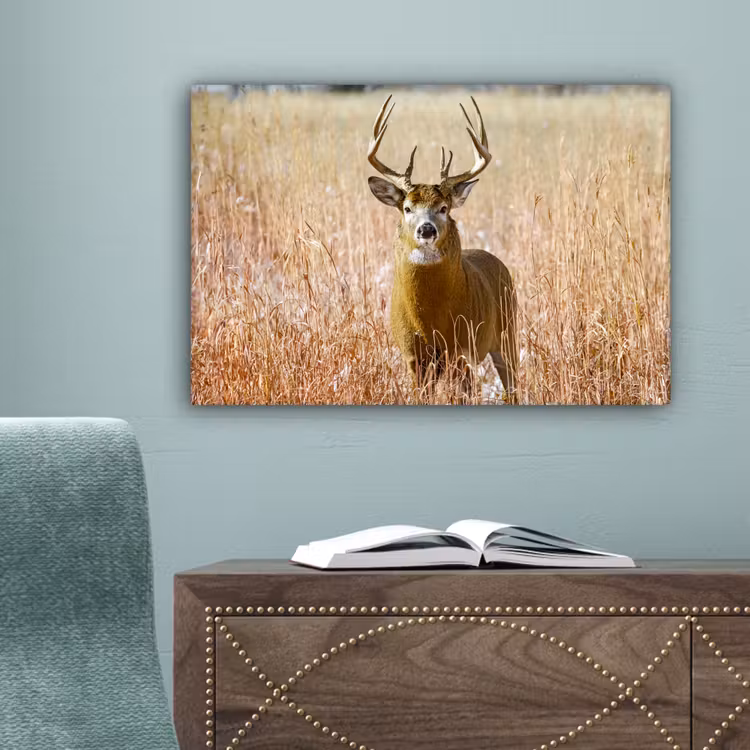 Hert - Gras - Herfst - Dieren - Natuur - Gewei canvas 2cm klein -sfeer4