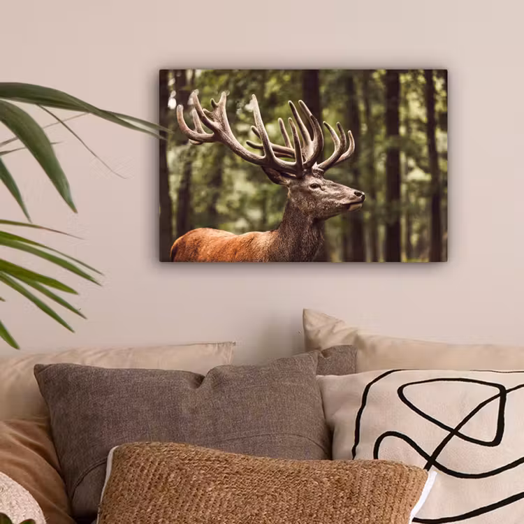 Hert - Natuur - Gewei - Bos - Dieren canvas 2cm klein -sfeer1
