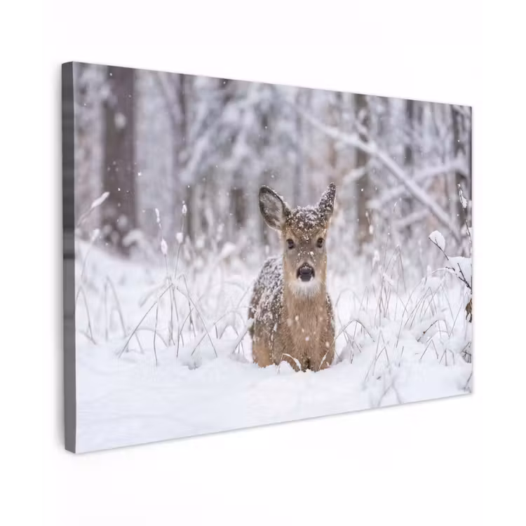 Hert - Sneeuw - Bos - Dieren - Vertederend canvas 2cm klein -z3d