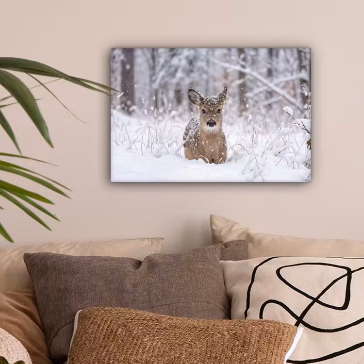 Hert - Sneeuw - Bos - Dieren - Vertederend canvas 2cm klein -sfeer1