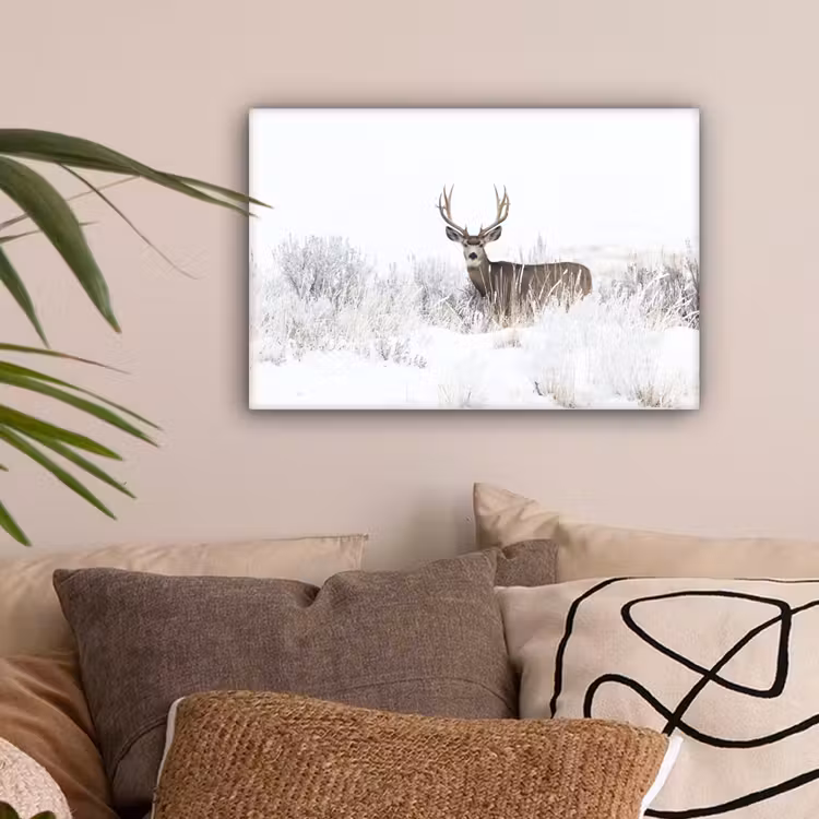 Hert - Winter - Sneeuw - Dieren - Seizoenen - Wit canvas 2cm klein -sfeer1
