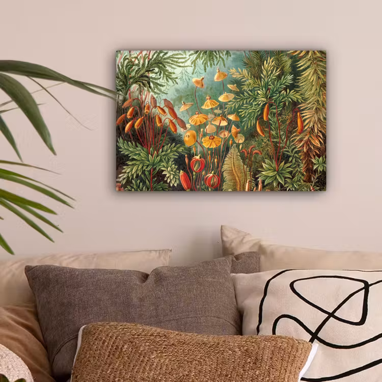 Design - Natuur - Paddenstoelen - Ernst Haeckel canvas 2cm klein -sfeer1