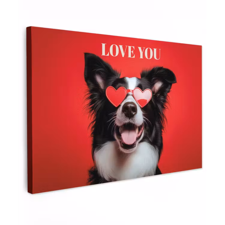 Hond - Hartjesbril - Loveyou - Rood canvas 2cm klein -z3d