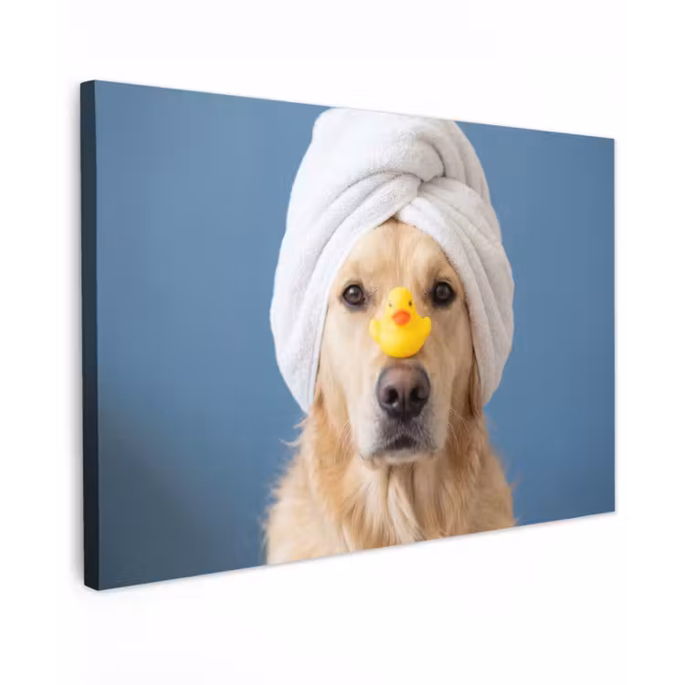 Hond - Badeend - Geel canvas 2cm klein -z3d