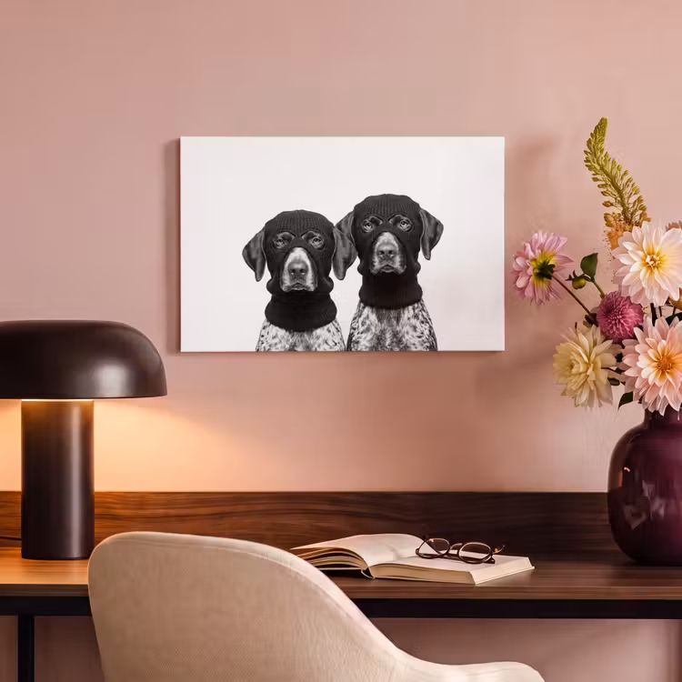 Honden - Bivakmuts - Zwart - wit canvas 2cm klein -sfeer4
