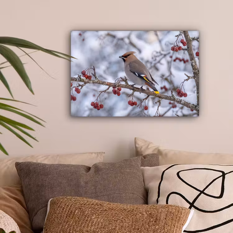 Pestvogel - Bessen - Winter - Natuur canvas 2cm klein -sfeer1