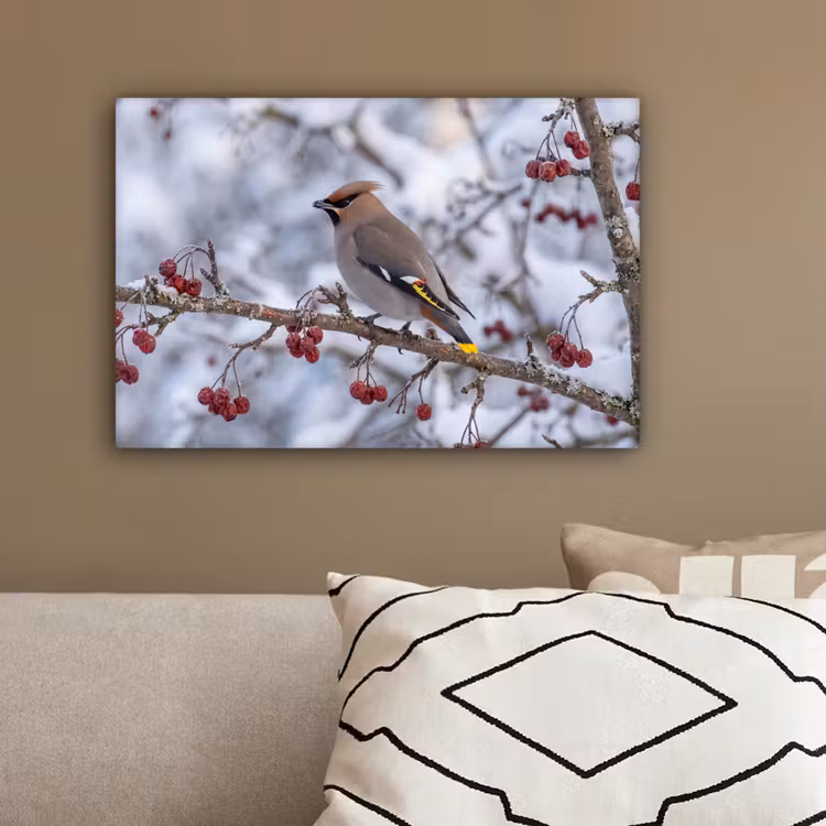 Pestvogel - Bessen - Winter - Natuur canvas 2cm klein -sfeer3