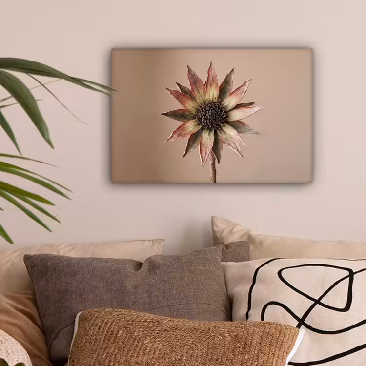 Droogbloem - Protea - Vintage - Beige - Rustiek canvas 2cm klein -sfeer1