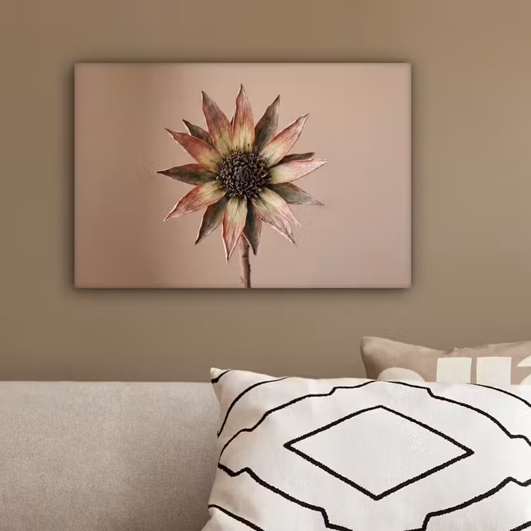Droogbloem - Protea - Vintage - Beige - Rustiek canvas 2cm klein -sfeer3