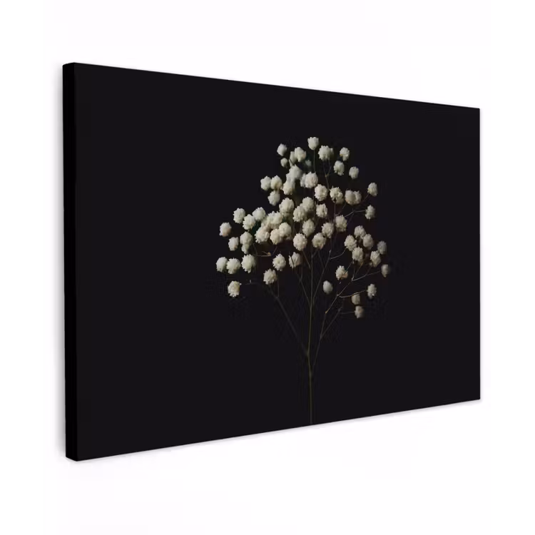 Gipskruid - Bloemetjes - Wit - Minimalistisch canvas 2cm klein -z3d