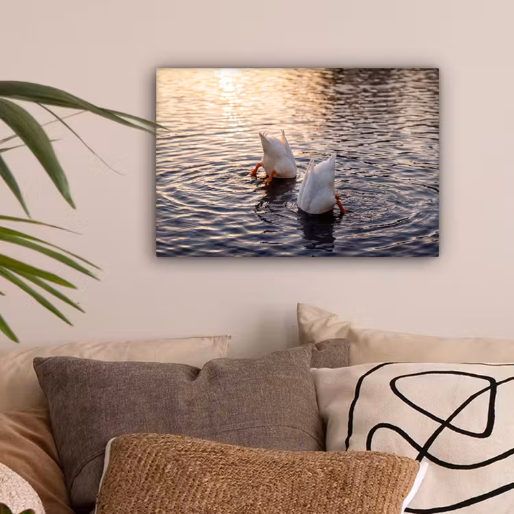 Eenden - Water - Natuur canvas 2cm klein -sfeer1