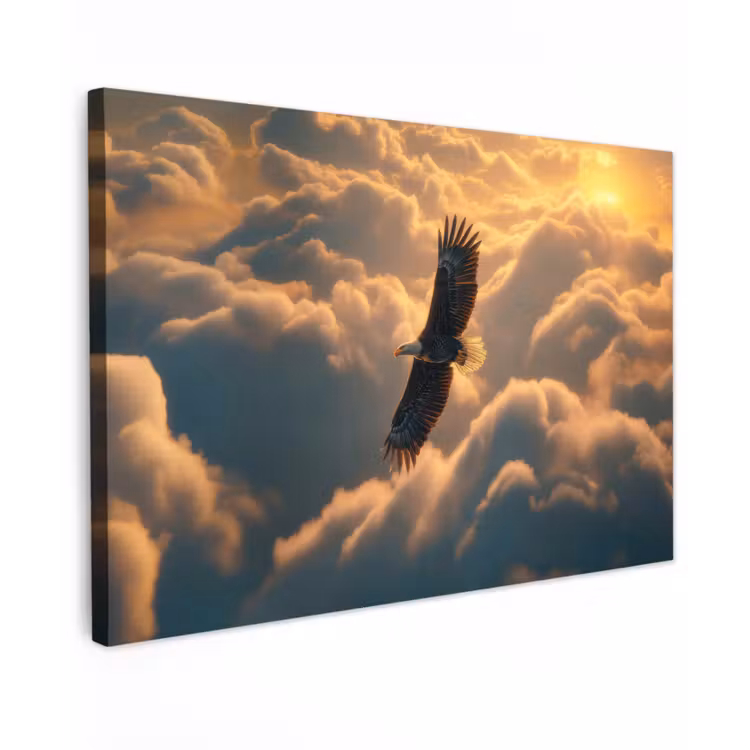 Adelaar - Wolken - Zon canvas 2cm klein -z3d
