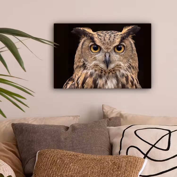 Oehoe - Uil - Portret - Bruin canvas 2cm klein -sfeer1