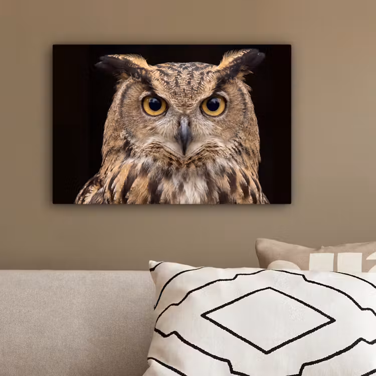 Oehoe - Uil - Portret - Bruin canvas 2cm klein -sfeer3