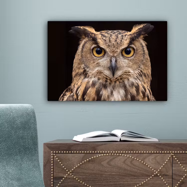 Oehoe - Uil - Portret - Bruin canvas 2cm klein -sfeer4