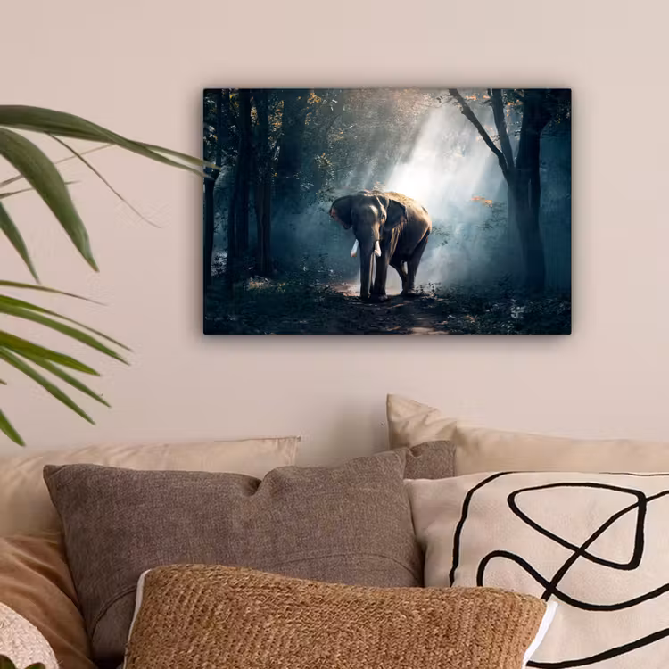 Olifant - Dieren - Licht - Bos - Natuur - Wilde dieren canvas 2cm klein -sfeer1