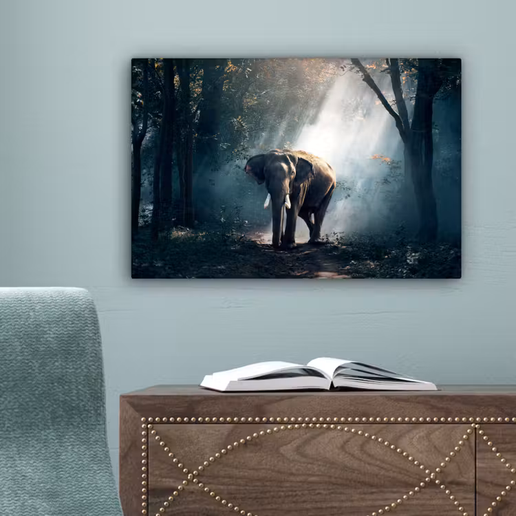 Olifant - Dieren - Licht - Bos - Natuur - Wilde dieren canvas 2cm klein -sfeer4