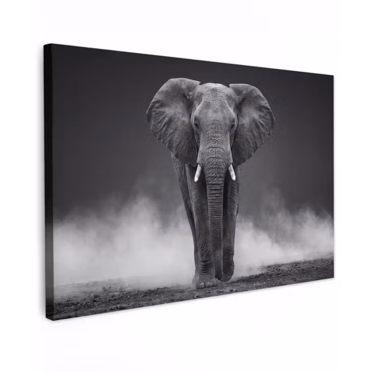 Olifant - Zwart - Wit - Rook canvas 2cm klein -z3d