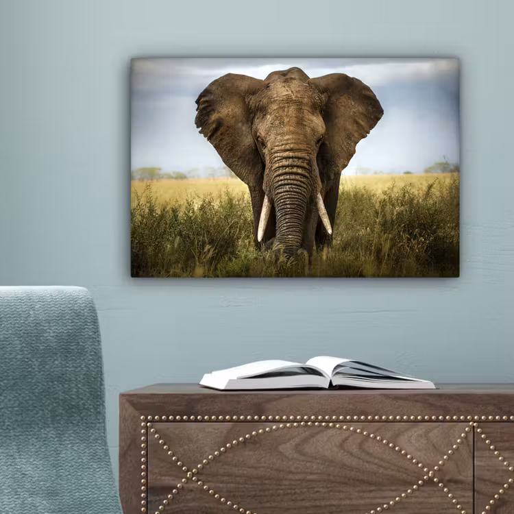 Olifant - Natuur - Gras - Dieren - Landschap canvas 2cm klein -sfeer4