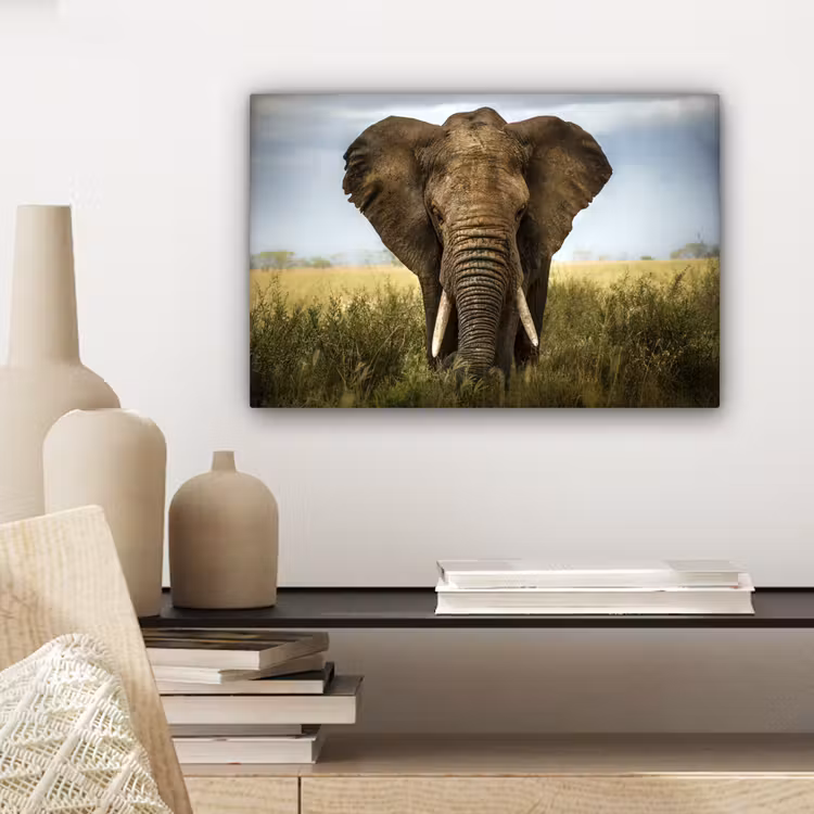 Olifant - Natuur - Gras - Dieren - Landschap canvas 2cm klein -sfeer6
