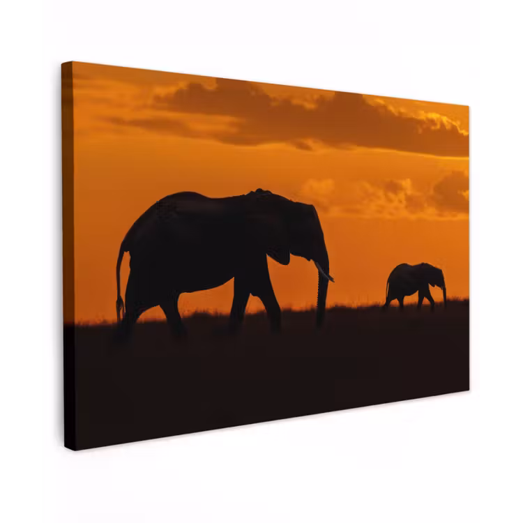 Olifanten - Savanne - Zonsondergang canvas 2cm klein -z3d