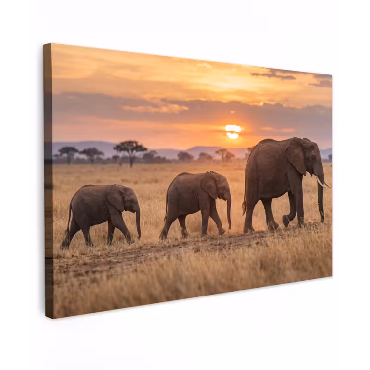 Olifanten - Savanne - Zonsondergang - Afrika - Warm canvas 2cm klein -z3d