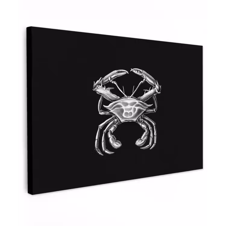 Ernst Haeckel - Krab - Oude meesters - Vintage - Dieren - Kunst canvas 2cm klein -z3d