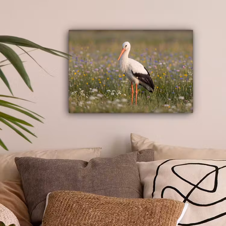 Ooienvaar - Bloemen - Weide - Kleurrijk canvas 2cm klein -sfeer1