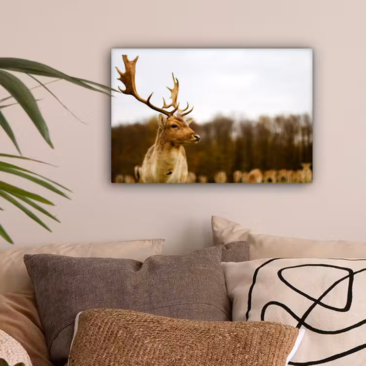 Damhert - Bos - Kudde - Dieren - Natuur canvas 2cm klein -sfeer1