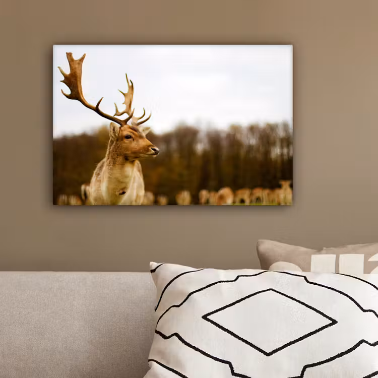 Damhert - Bos - Kudde - Dieren - Natuur canvas 2cm klein -sfeer3