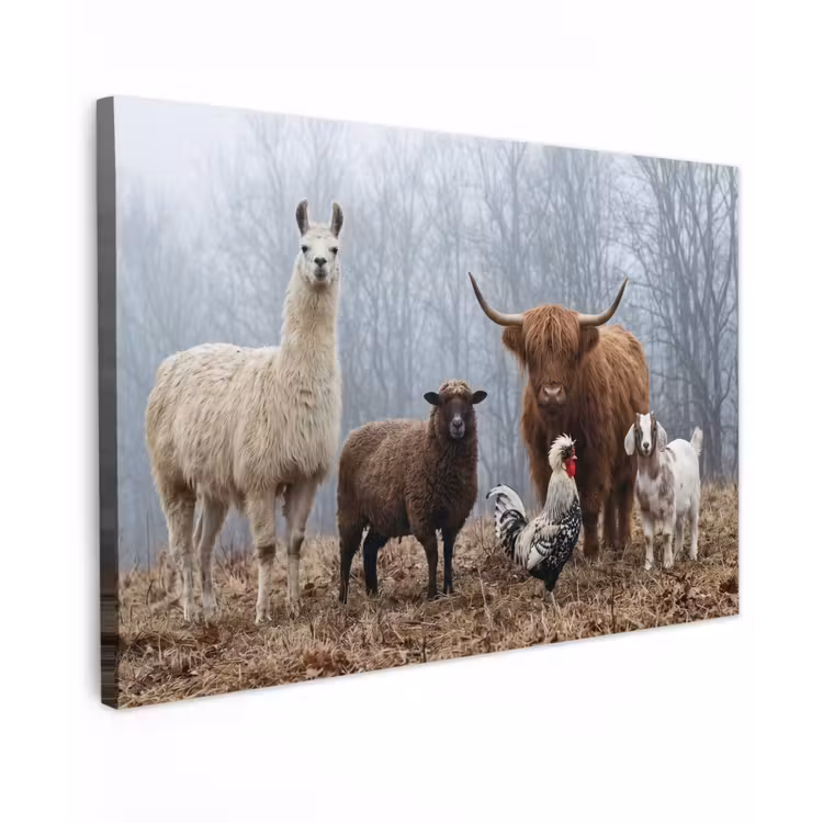Boerderijdieren - Groep - Mist - Natuur - Rustiek canvas 2cm klein -z3d