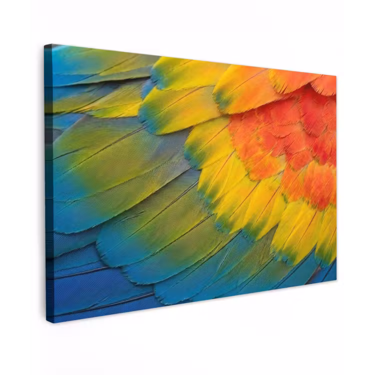 Veren - Ara - Kleurrijk canvas 2cm klein -z3d