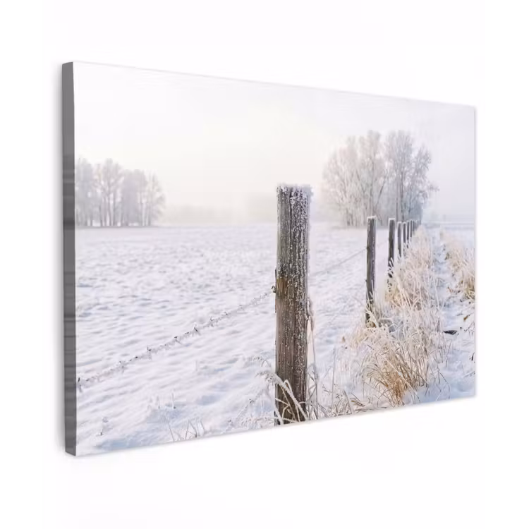 Hek - Sneeuw - Mist - Platteland - Nostalgisch canvas 2cm klein -z3d