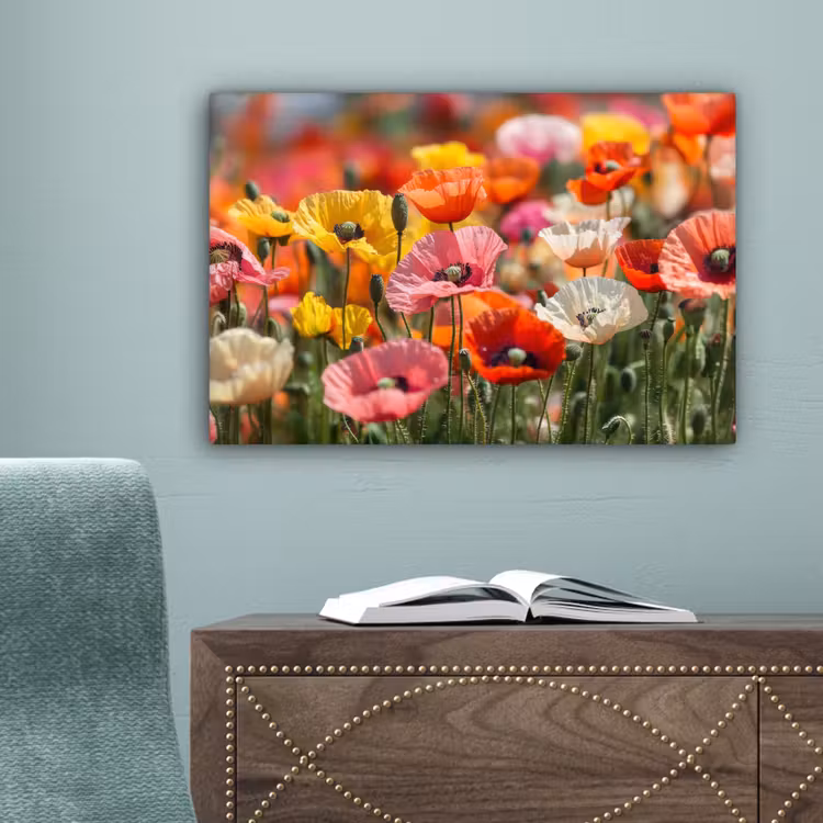Bloemenveld - Klaprozen - Kleurrijk canvas 2cm klein -sfeer4