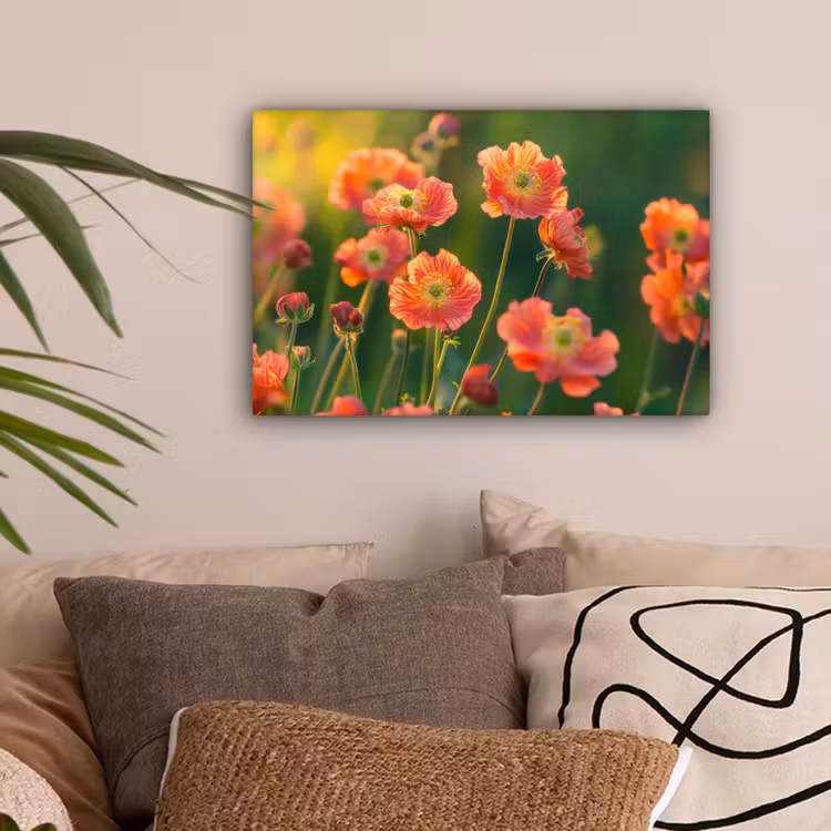 Bloemenveld - Zonnestralen - Oranje canvas 2cm klein -sfeer1