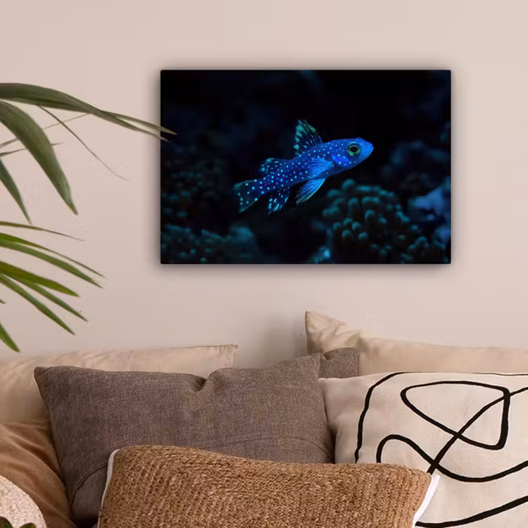 Vis - Stippen - Koraal - Blauw canvas 2cm klein -sfeer1
