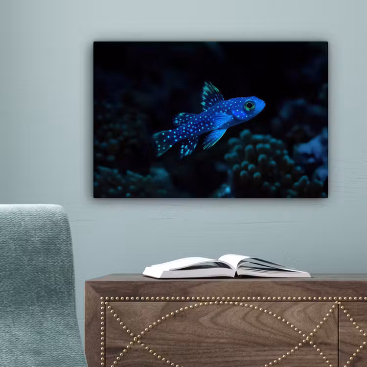 Vis - Stippen - Koraal - Blauw canvas 2cm klein -sfeer4