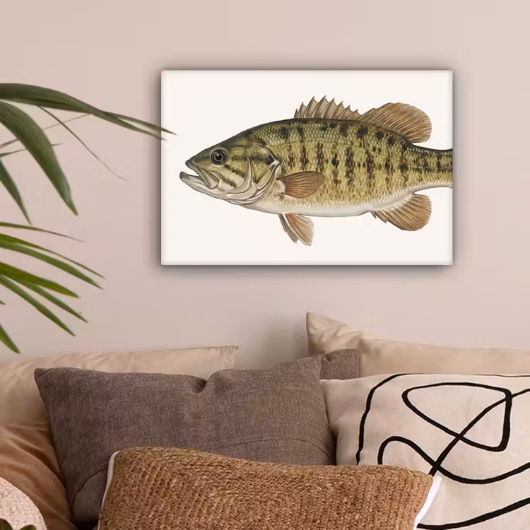 Vissen - Natuur - Vintage canvas 2cm klein -sfeer1
