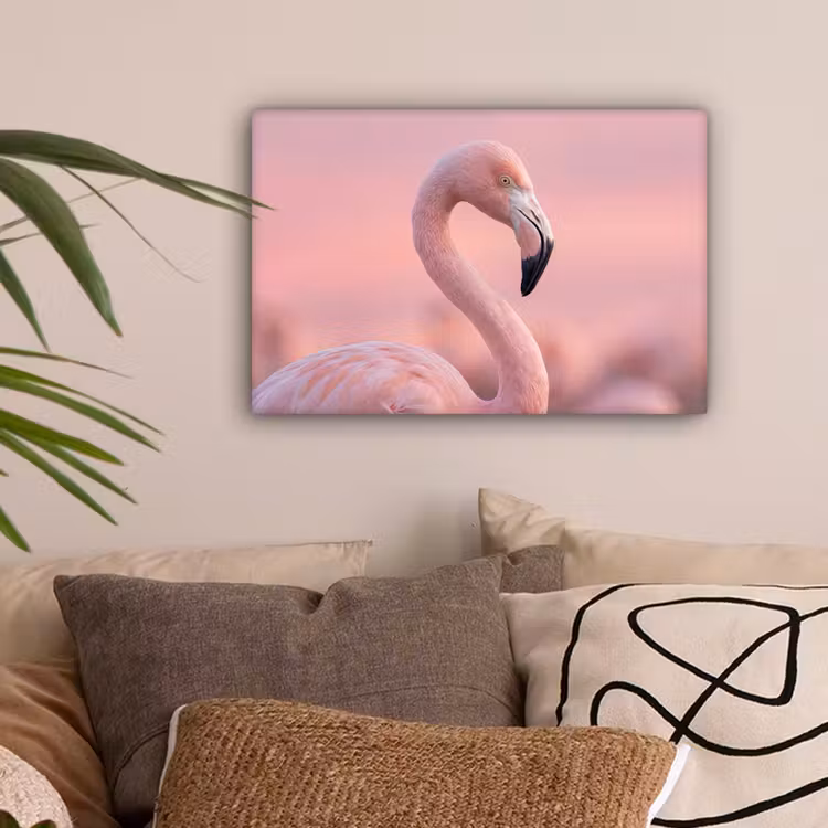 Flamingo - Portret - Roze canvas 2cm klein -sfeer1