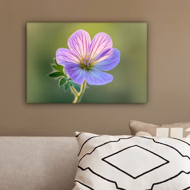 Bloem - Close up - Paars canvas 2cm klein -sfeer3