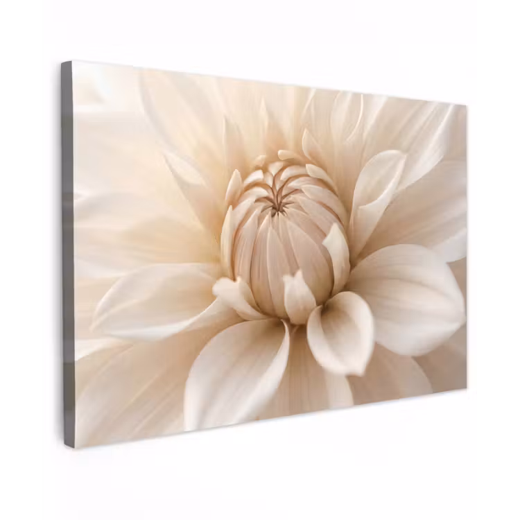Bloem - Dahlia - Wit canvas 2cm klein -z3d